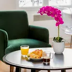 Merveil - Family Suite - Marais - Martin VI